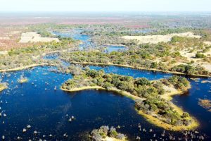 Rio Okavango