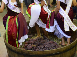 Festa da Uva em Jundiaí