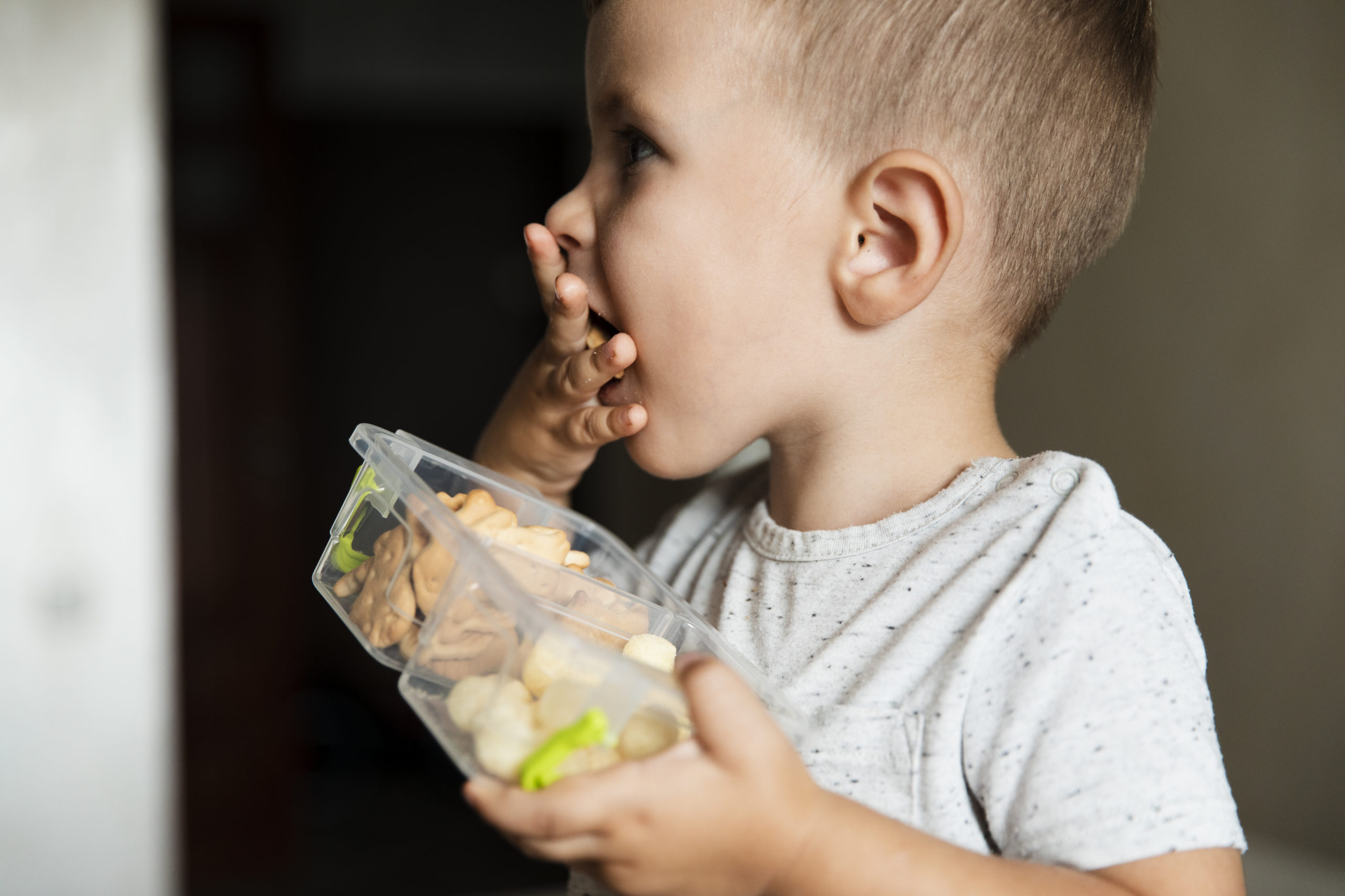 alimentação