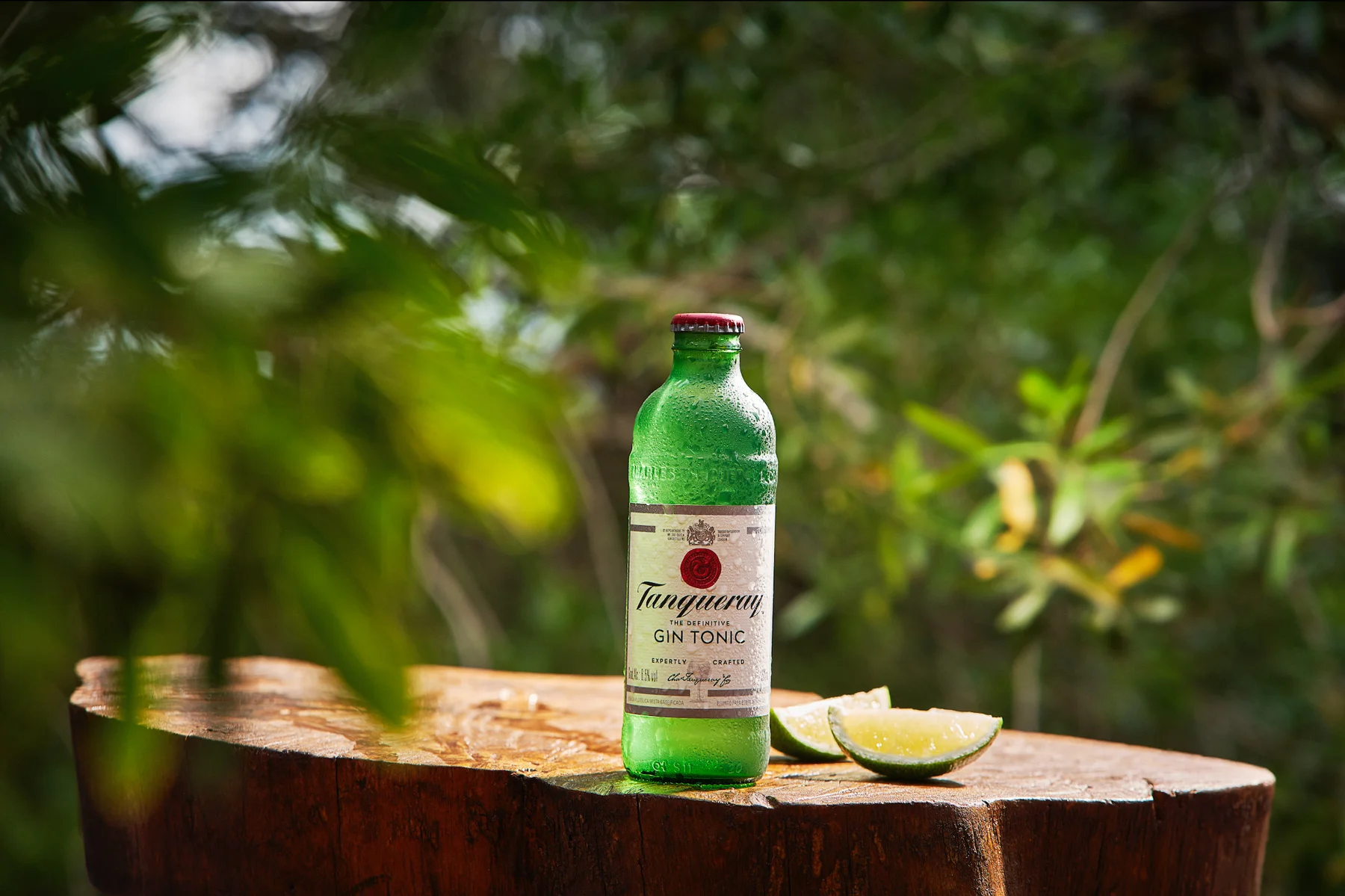 tonic tanqueray