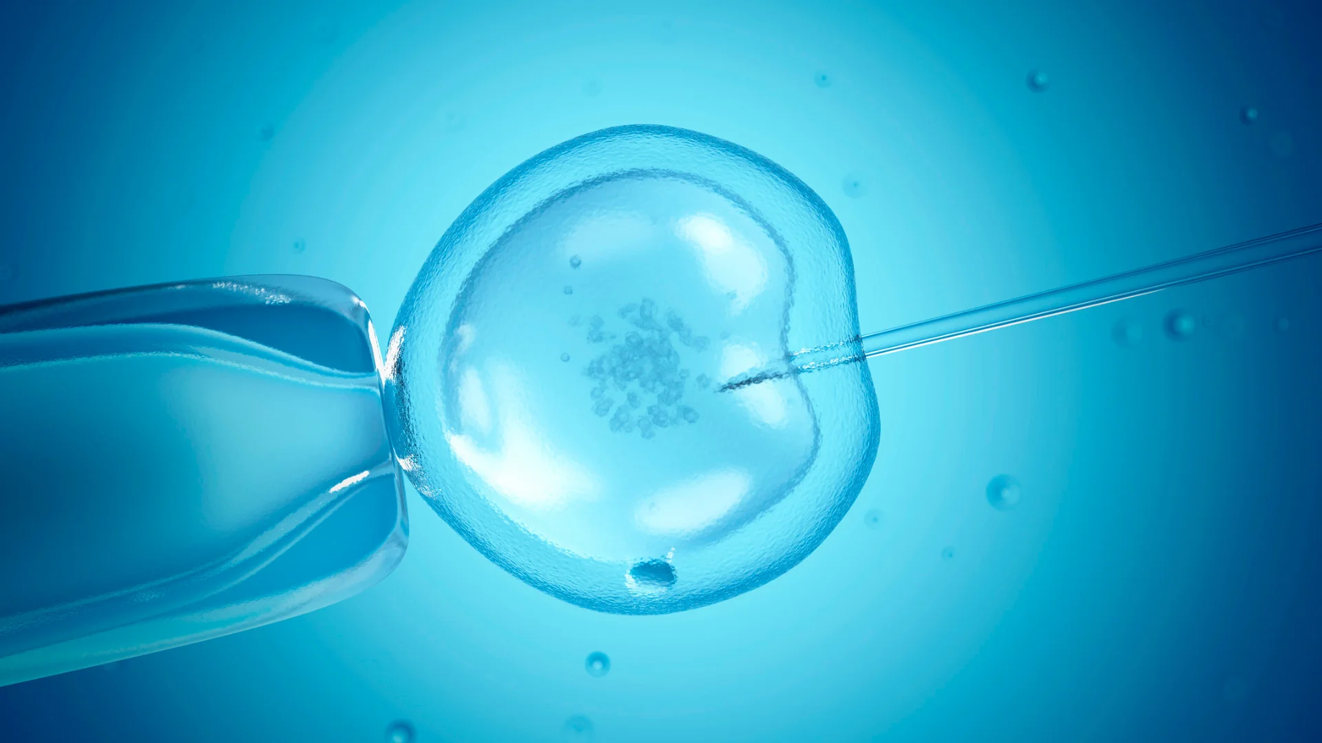 Foto: Canva